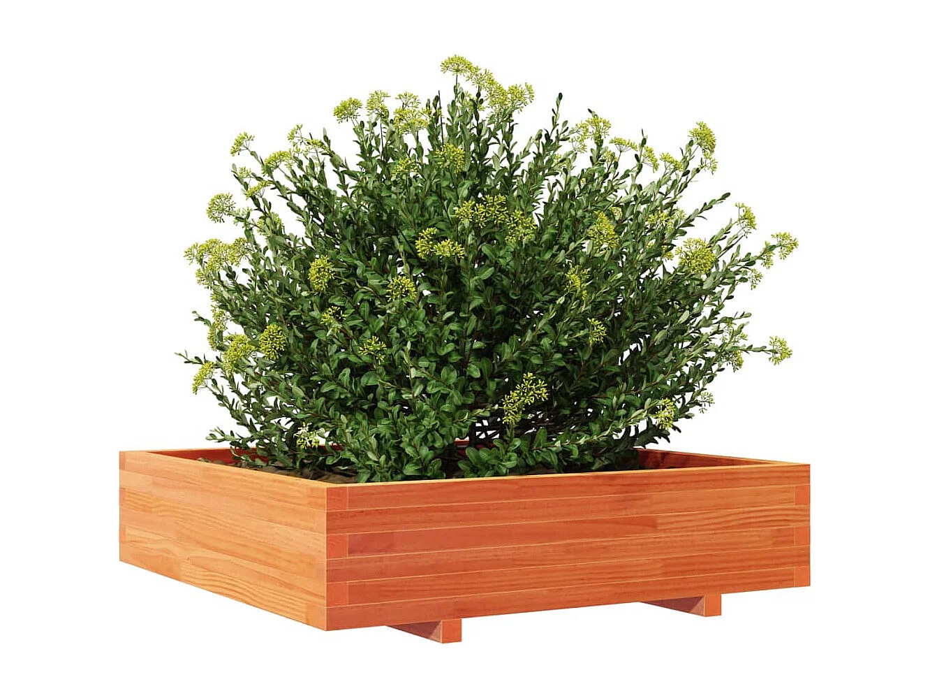 Jardinière cire marron 100x100x26,5 cm bois de pin massif FR42588