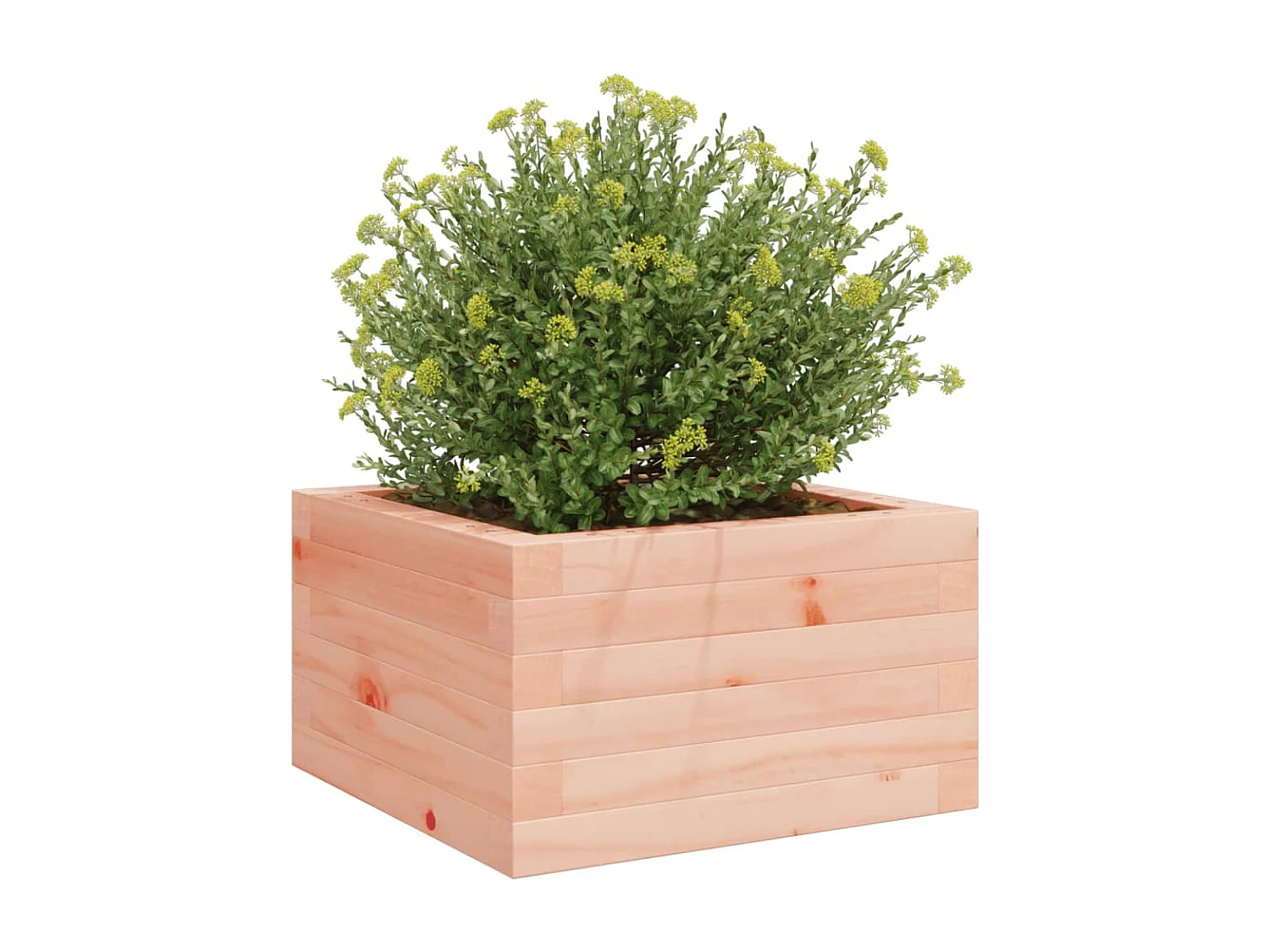 Plantenbak 40x40x23 cm massief douglashout BE170902