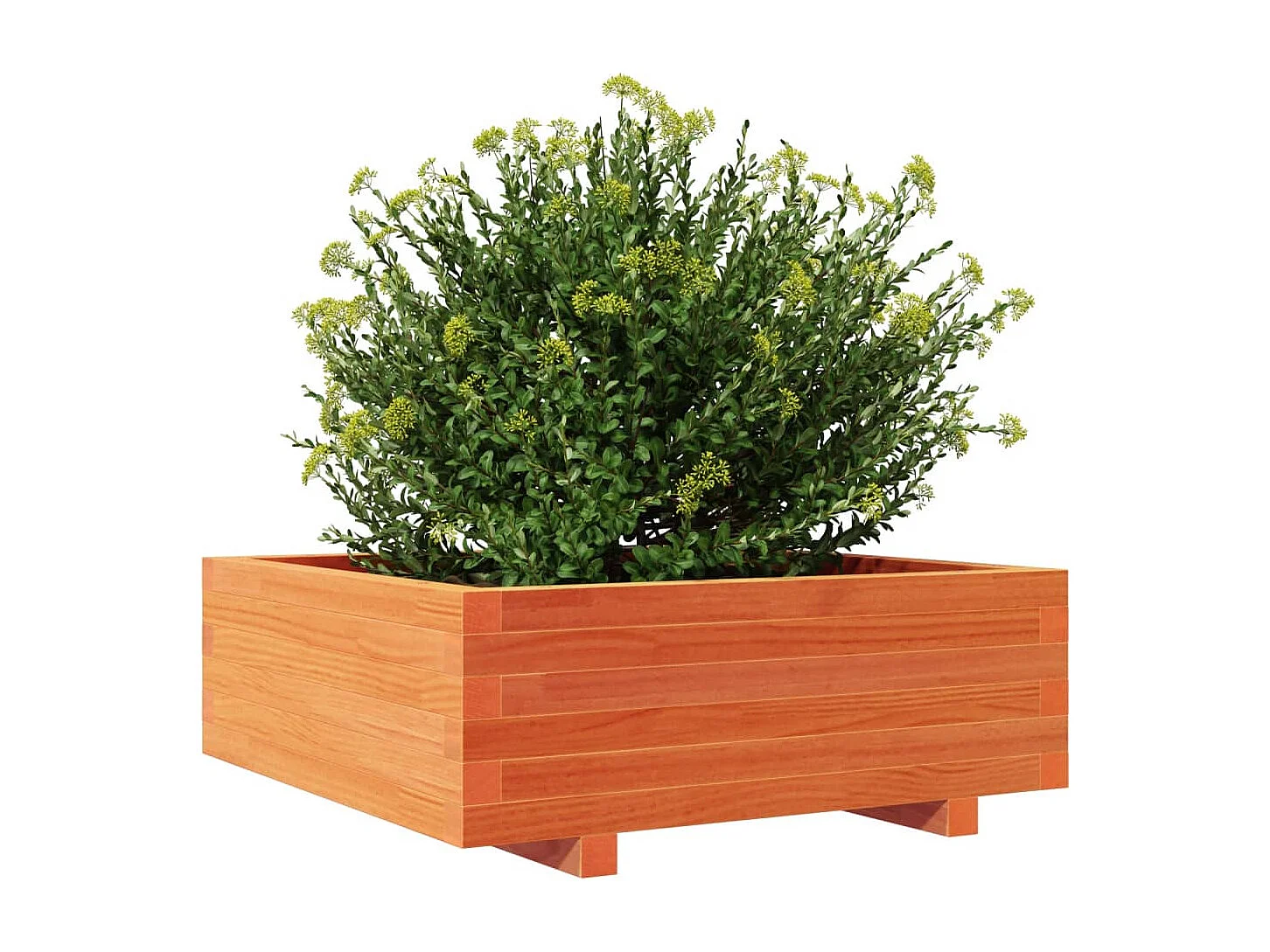 Jardinière cire marron 70x70x26,5 cm bois de pin massif FR32101