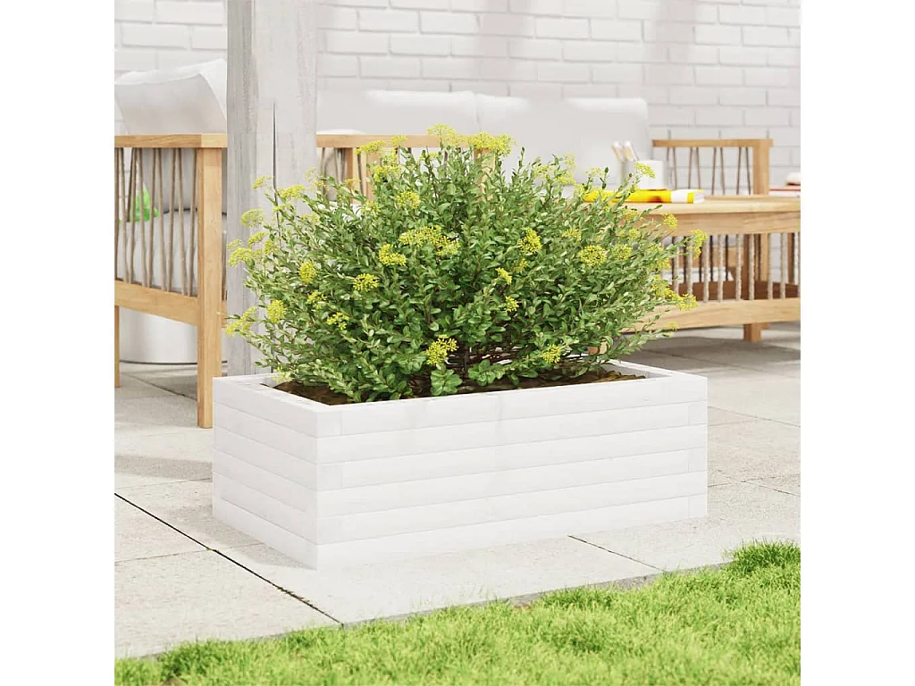 Jardinière blanc 70x40x23 cm bois de pin massif FR80837