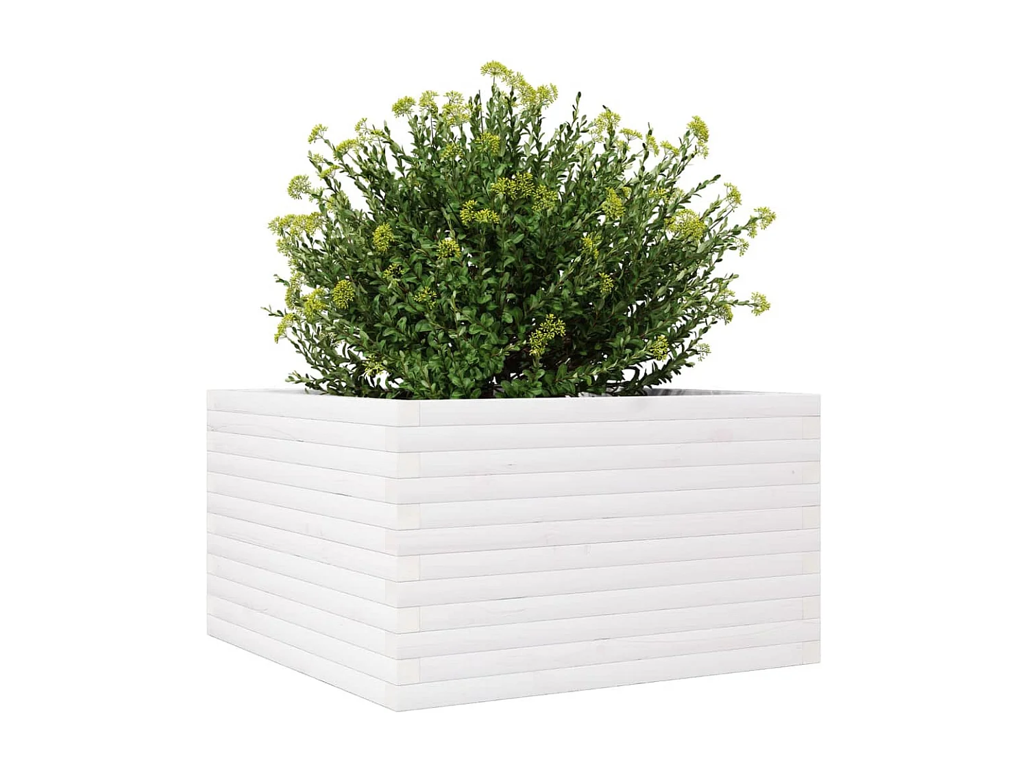 Vaso/floreira de jardim 80x80x46 cm madeira pinho maciça branco PT528201