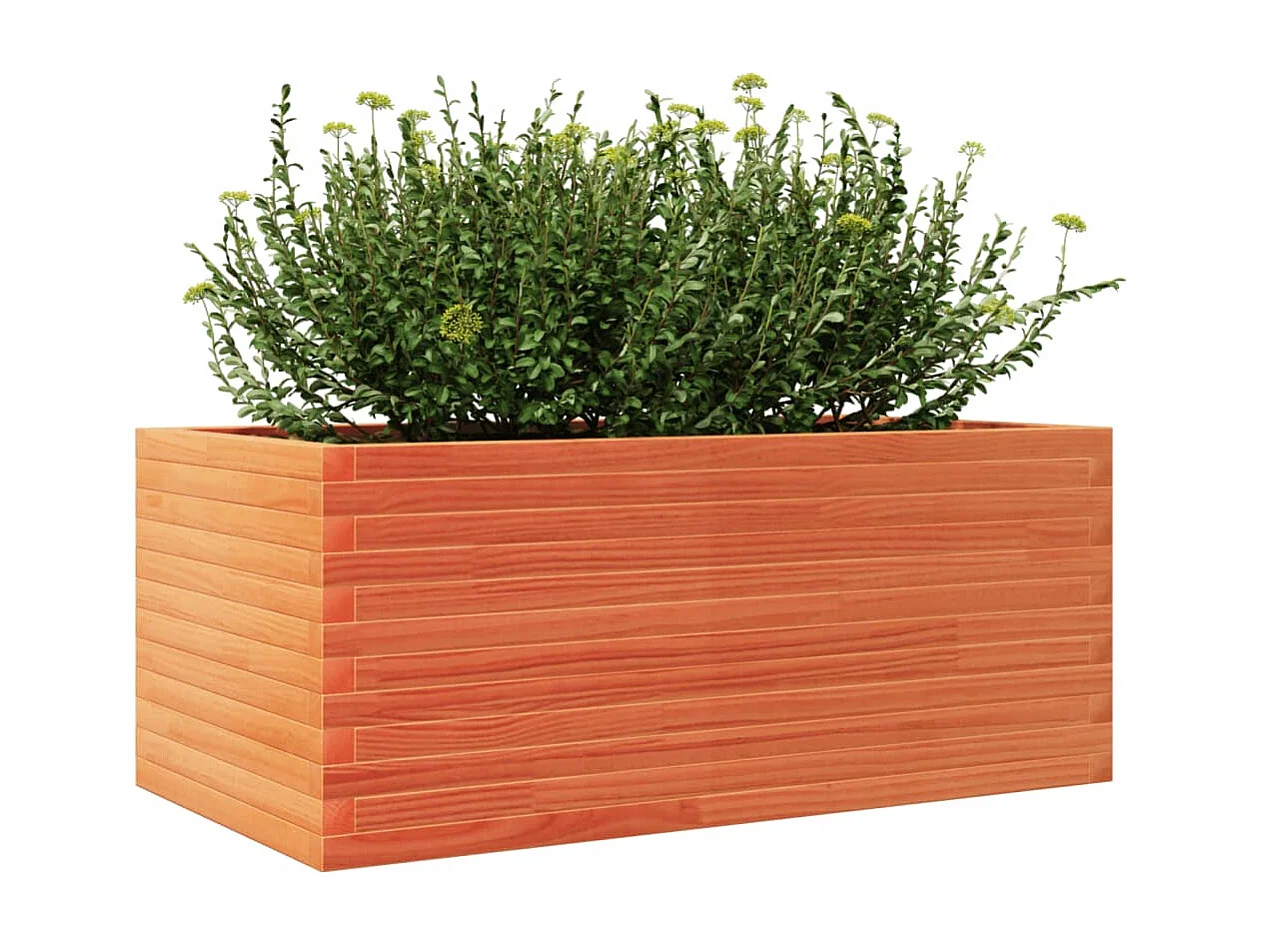 Plantenbak 110x60x46 cm massief grenenhout wasbruin BE554896