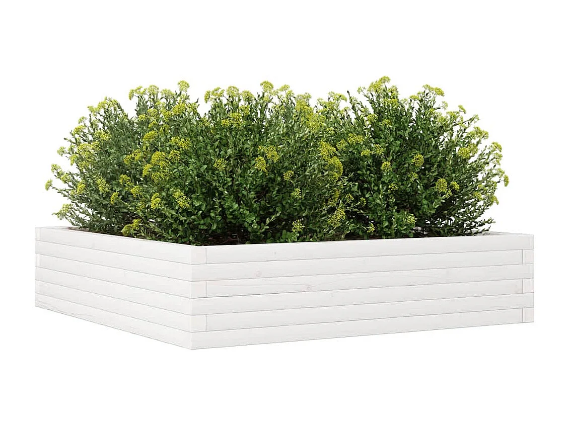 Vaso/floreira jardim 100x100x23 cm madeira pinho maciça branco PT103205