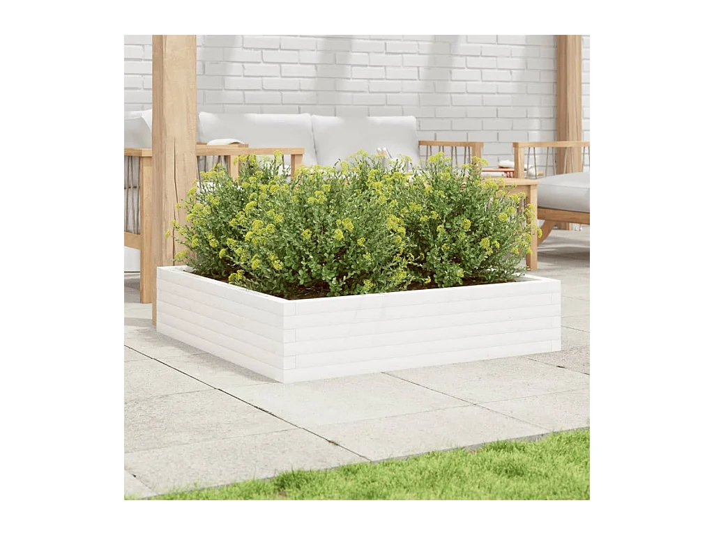 Jardinière blanc 100x100x23 cm bois de pin massif FR81822