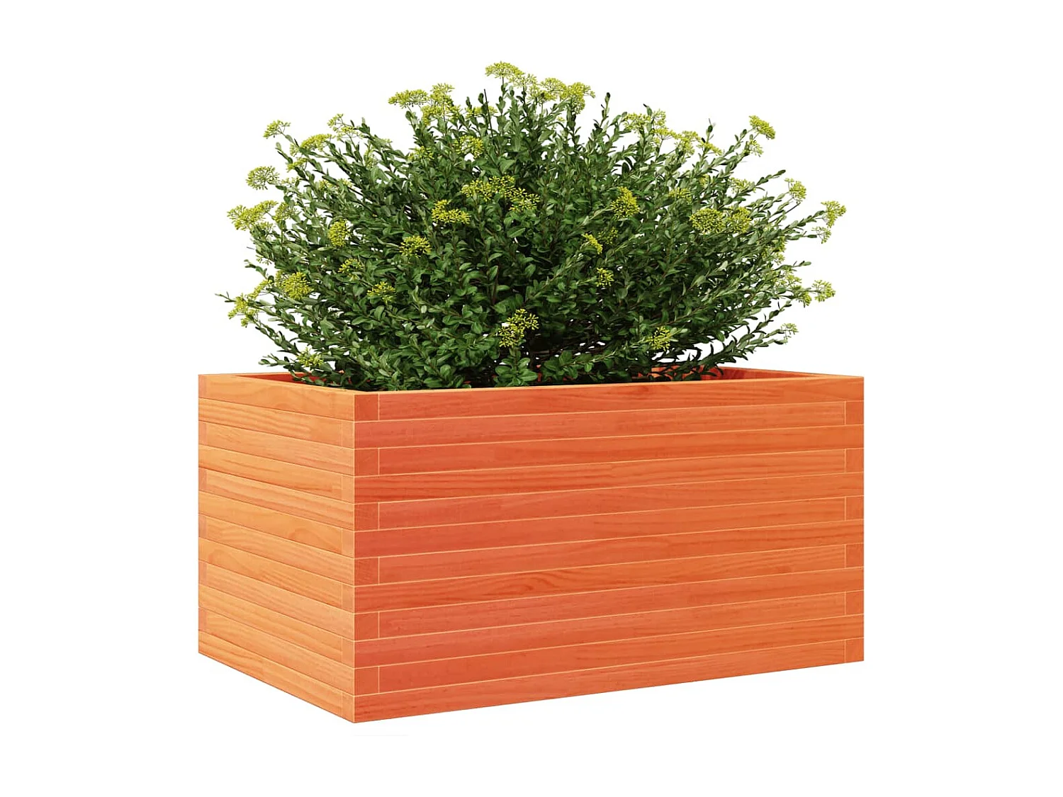 Vaso/floreira de jardim 90x60x46 cm pinho maciço castanho-mel PT494091