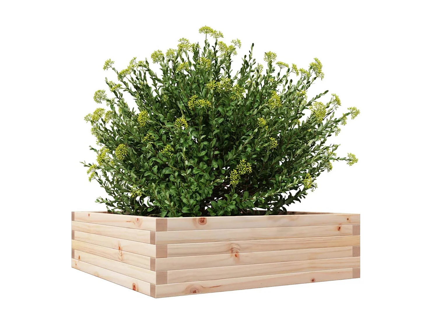 Jardinière 80x80x23 cm bois de pin massif FR15589