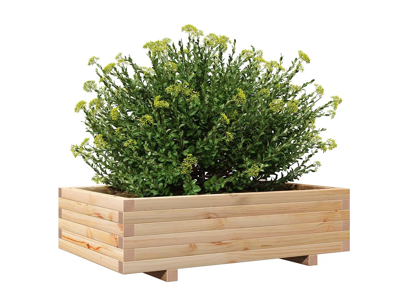 Jardinière 90x60x26,5 cm bois de pin massif FR55317
