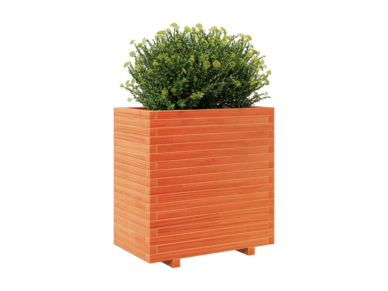 Jardinière cire marron 70x40x72,5 cm bois de pin massif FR49816