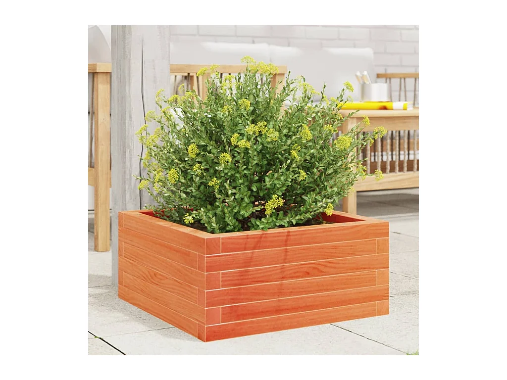 Jardinière cire marron 60x60x23 cm bois de pin massif FR58108