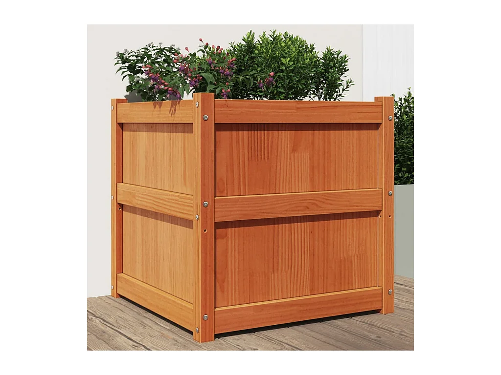 Jardinière cire marron 60x60x60 cm bois de pin massif FR26636