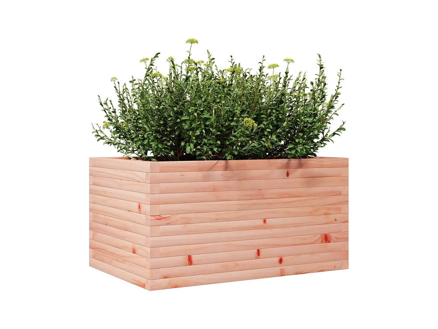 Jardinière 90x60x45,5 cm bois massif de douglas FR51979