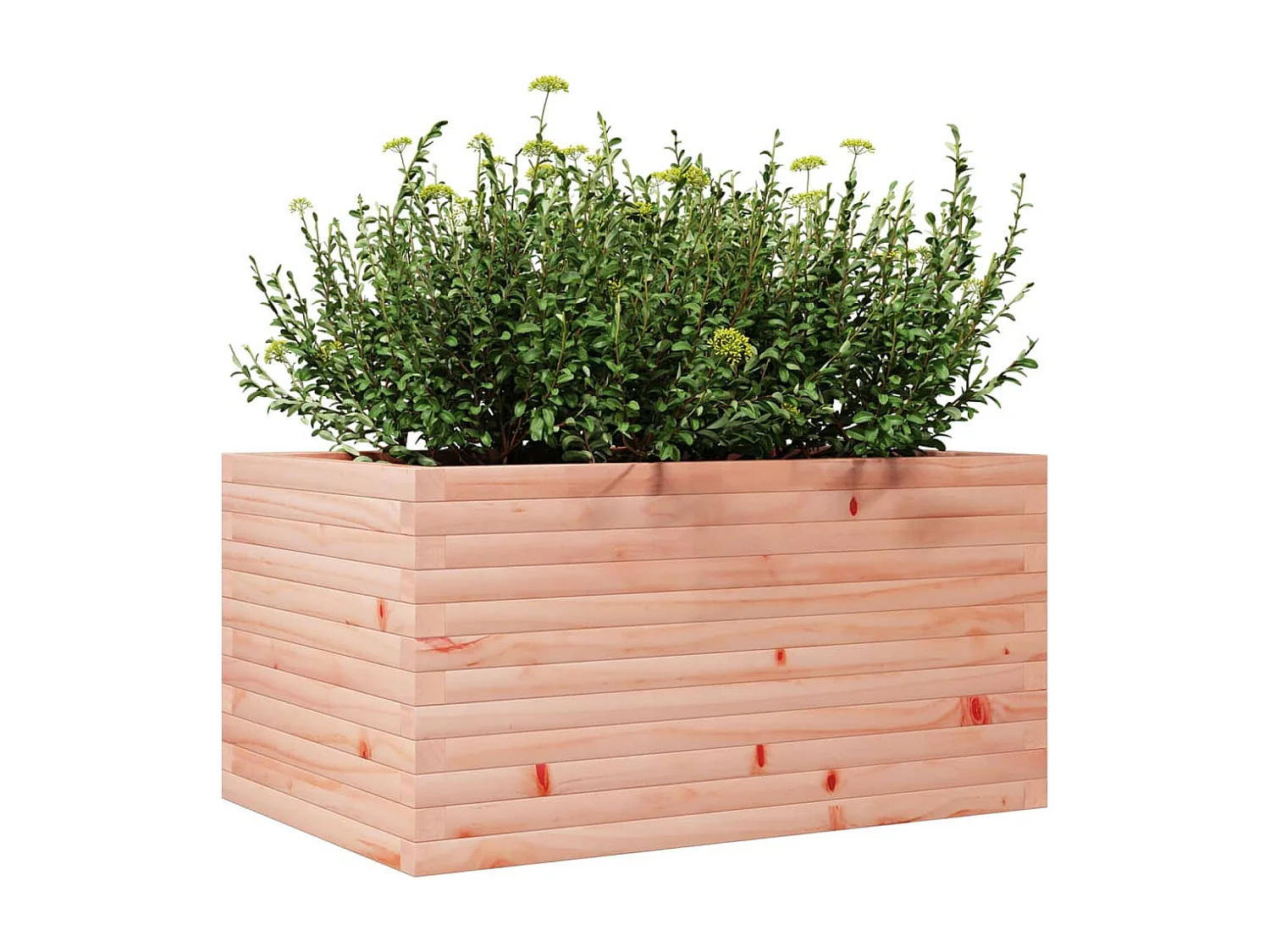 Plantenbak 90x60x45,5 cm massief douglashout BE639936
