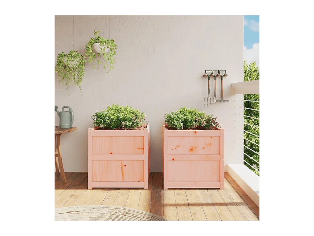 Jardinières 2 pcs bois massif douglas FR44971