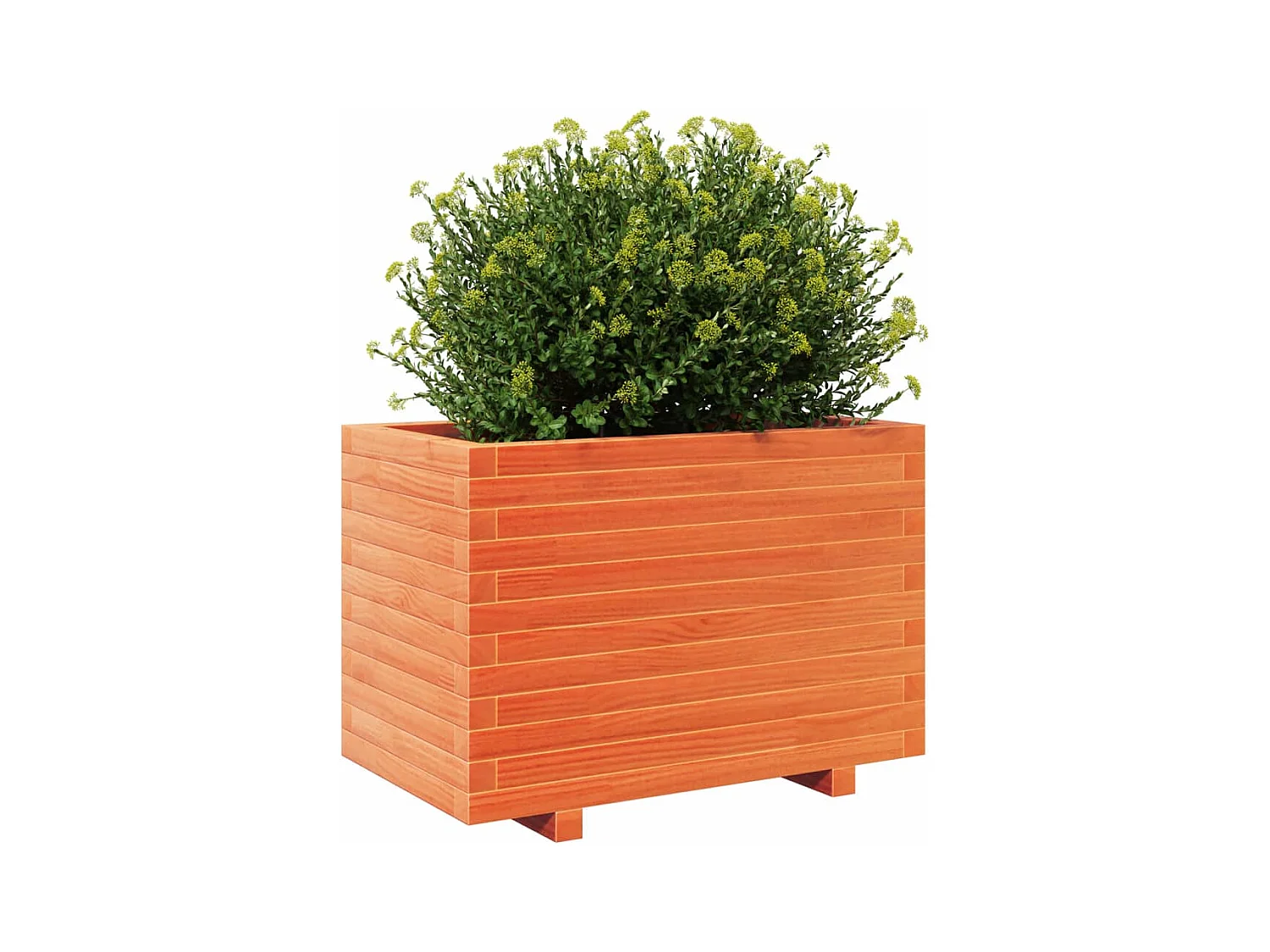 Jardinière cire marron 70x40x49,5 cm bois de pin massif FR47206