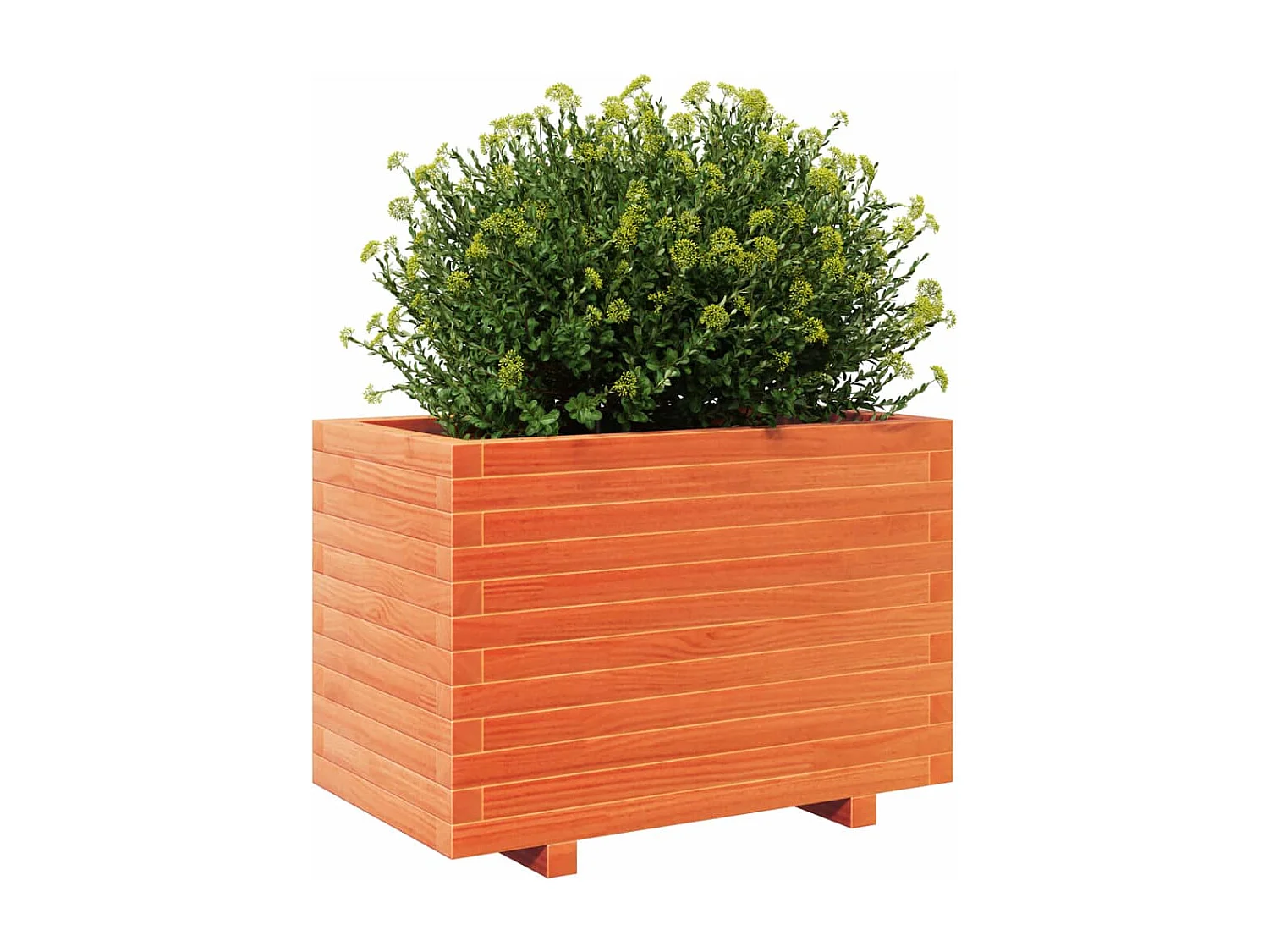 Jardinière cire marron 70x40x49,5 cm bois de pin massif FR47206