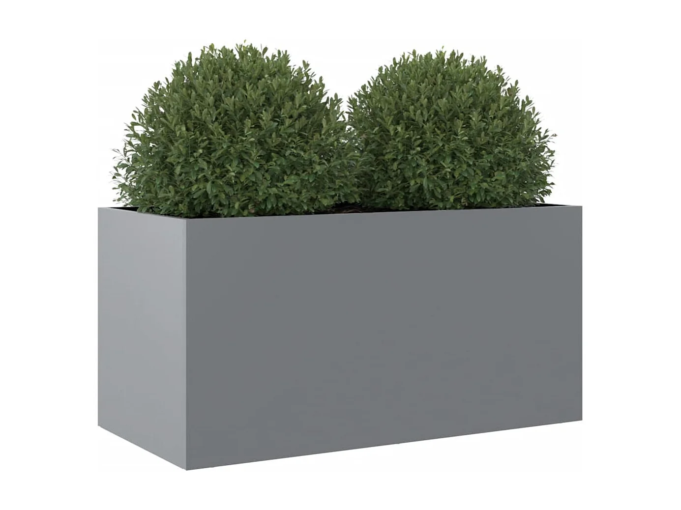 Plantenbak 62x30x29 cm gegalvaniseerd staal zilverkleurig BE465240