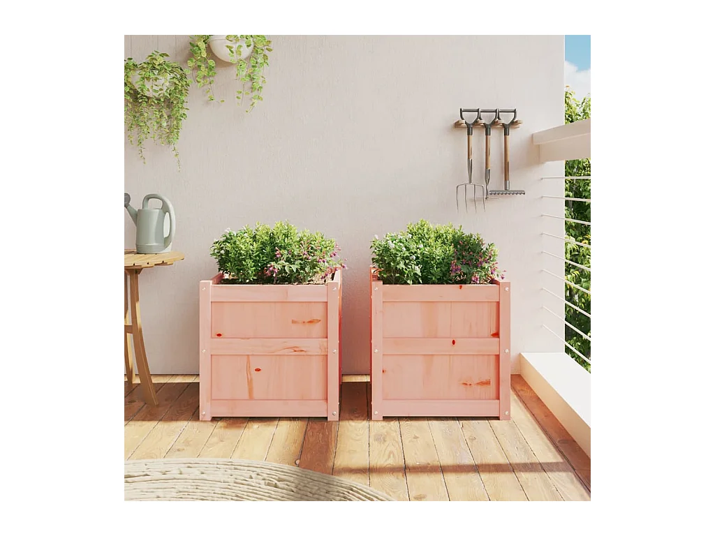Jardinières 2 pcs bois massif douglas FR99858