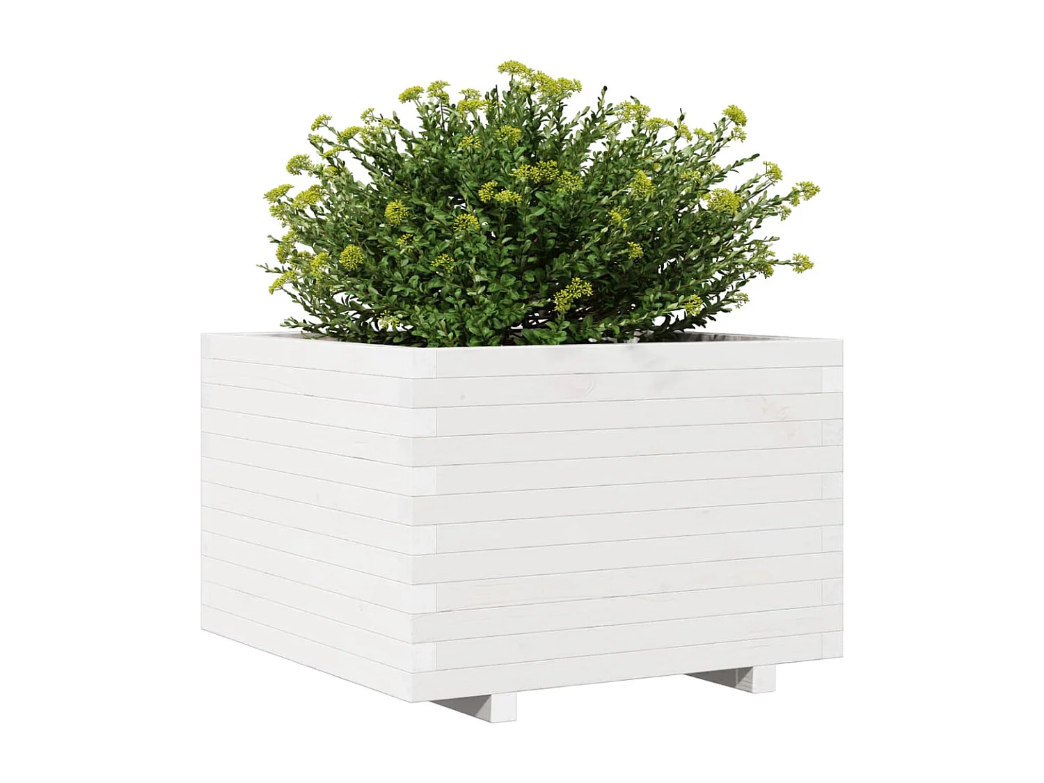 Jardinière blanc 70x70x49,5 cm bois de pin massif FR37865