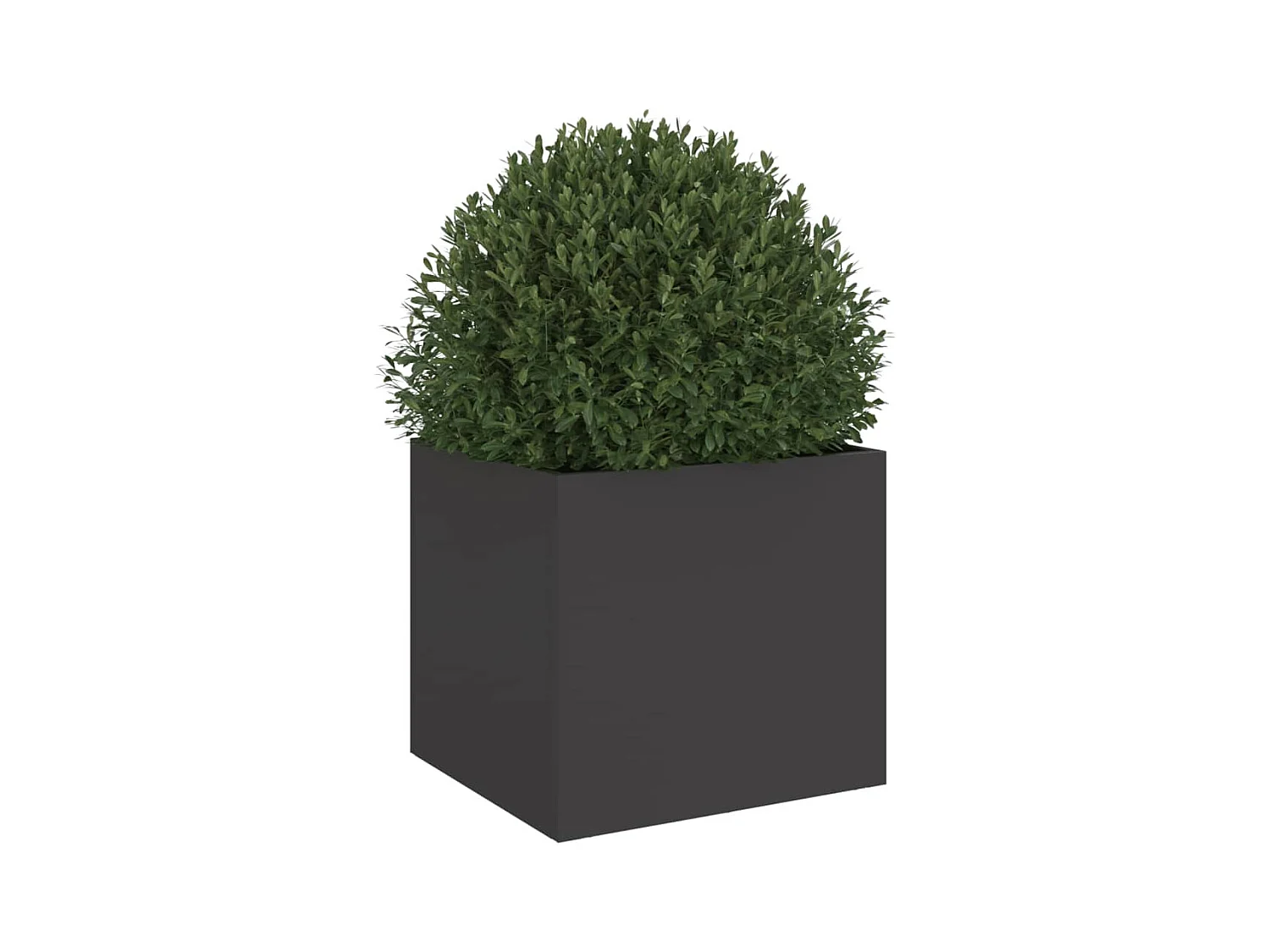 Jardinière noir 32x30x29 cm acier laminé à froid FR91262