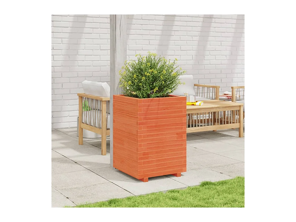 Jardinière cire marron 50x50x72,5 cm bois de pin massif FR56402
