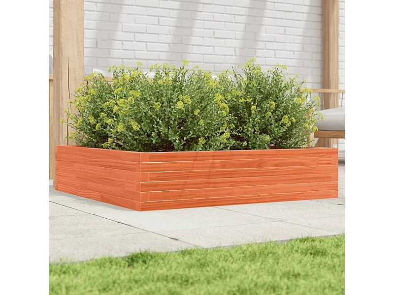 Vaso/floreira jardim 100x100x23 cm pinho maciço castanho mel PT237391