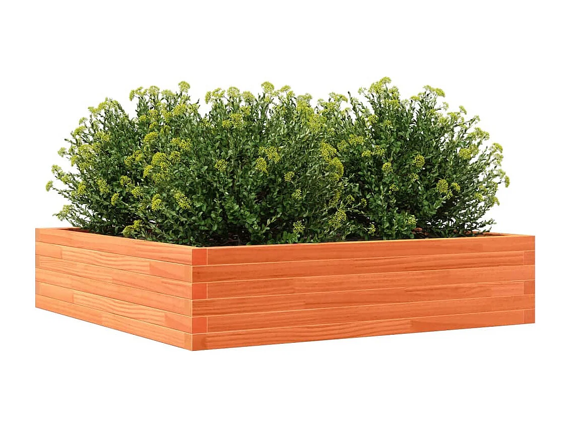 Plantenbak 100x100x23 cm massief grenenhout wasbruin BE202560