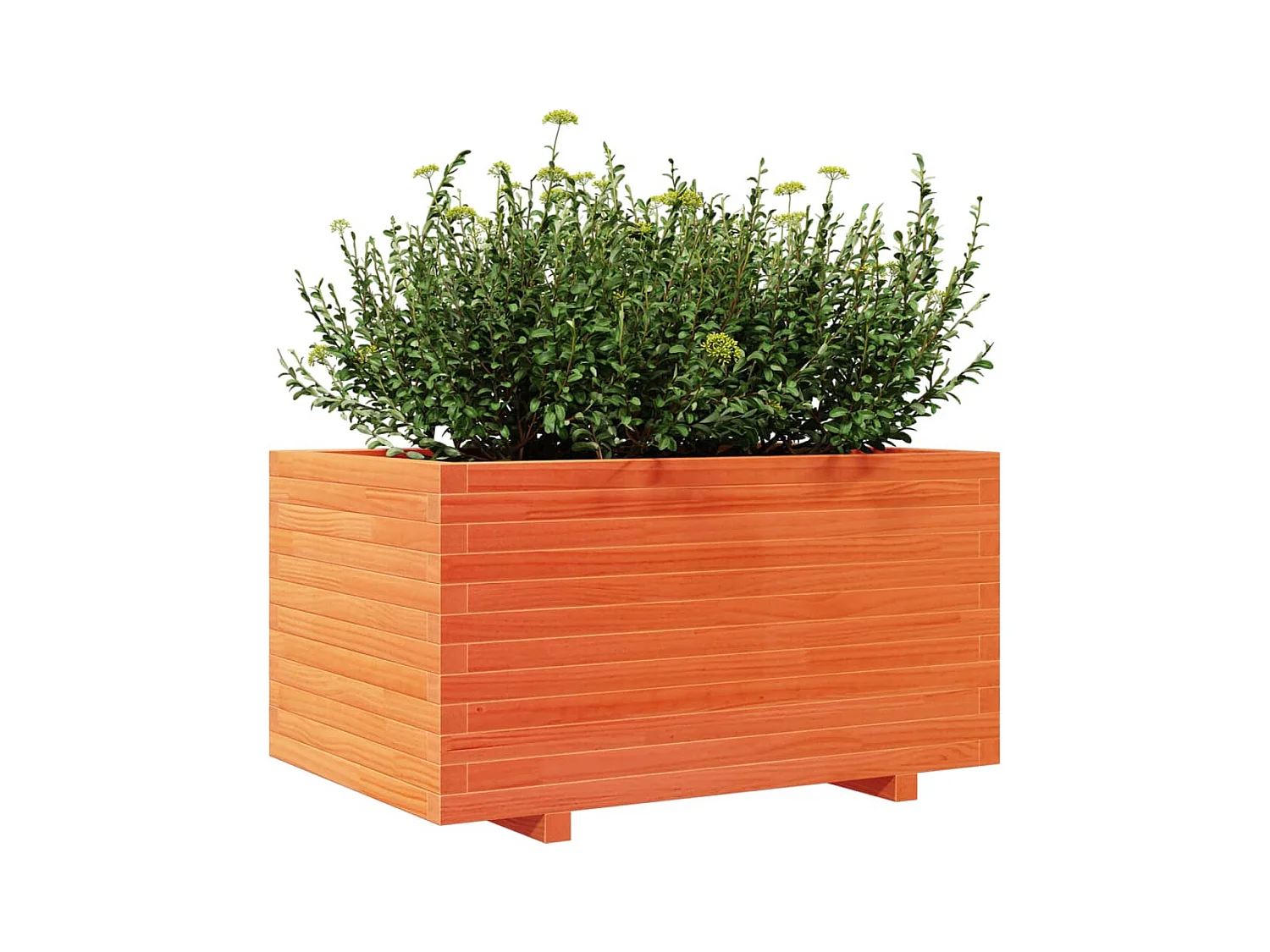 Jardinière cire marron 90x60x49,5 cm bois de pin massif FR10415