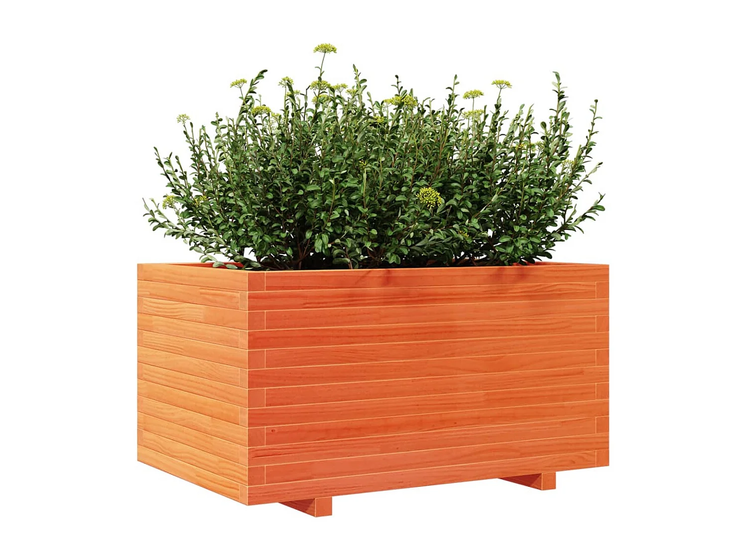 Jardinière cire marron 90x60x49,5 cm bois de pin massif FR10415