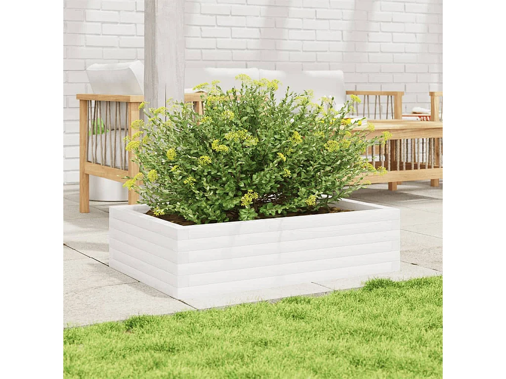 Jardinière blanc 90x60x23 cm bois de pin massif FR69796