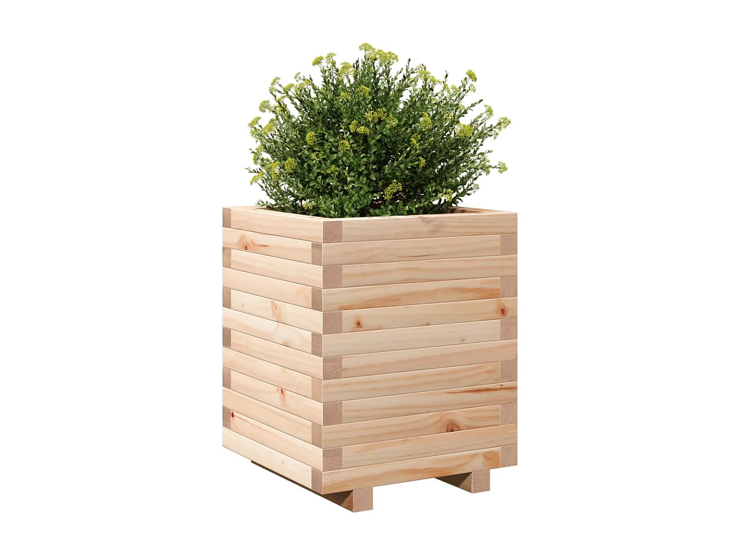 Plantenbak 40x40x49,5 cm massief grenenhout BE932937