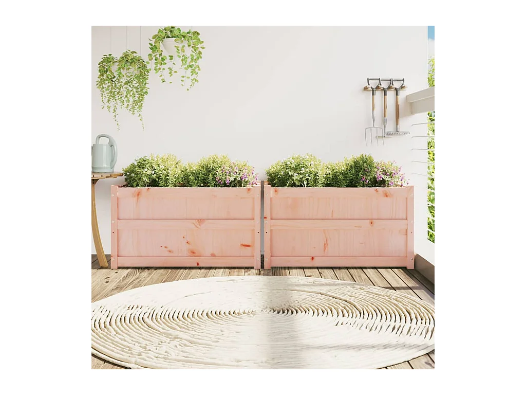 Jardinières 2 pcs bois massif douglas FR68196