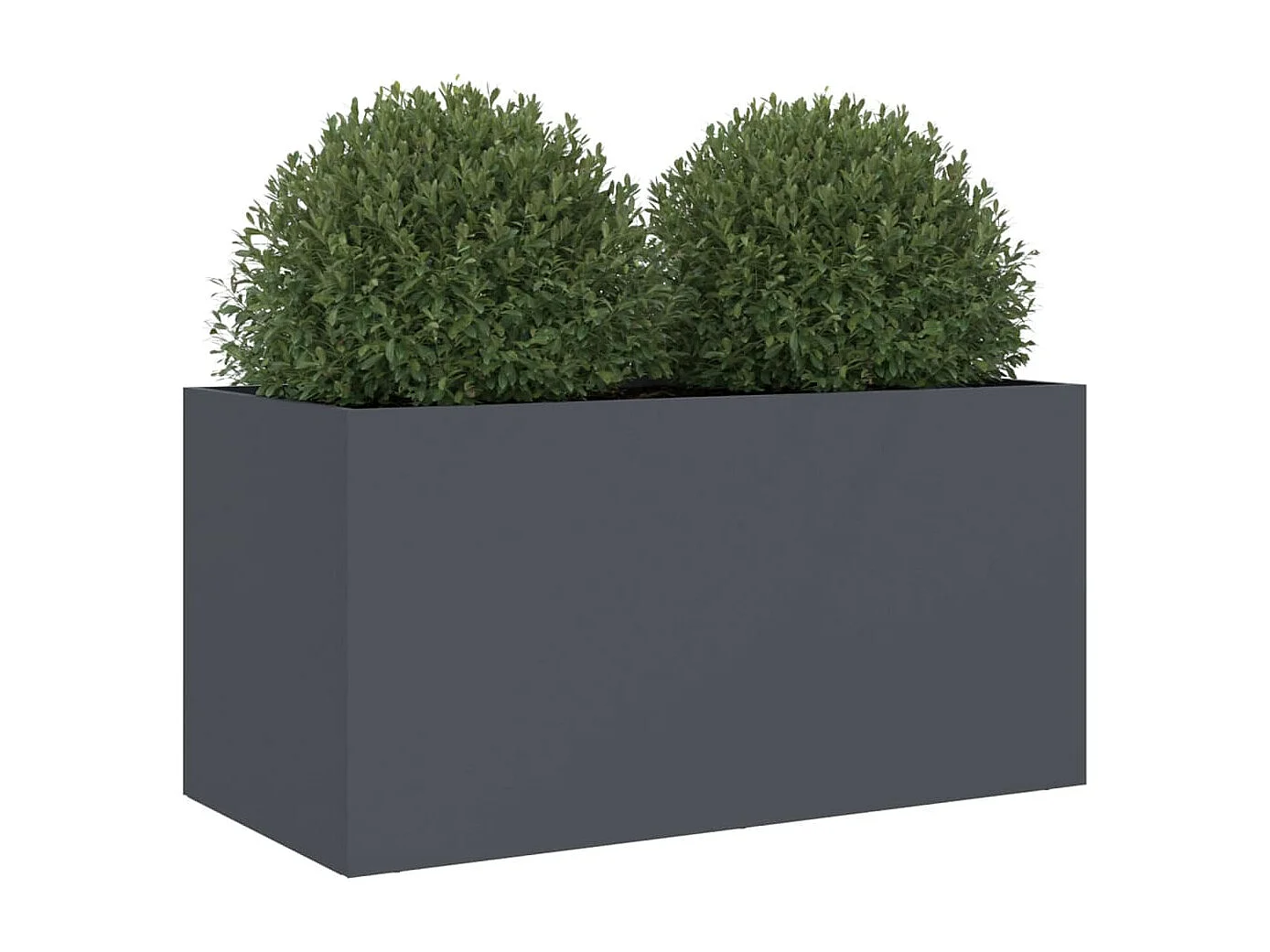 Jardinière anthracite 62x30x29 cm acier laminé à froid FR89185