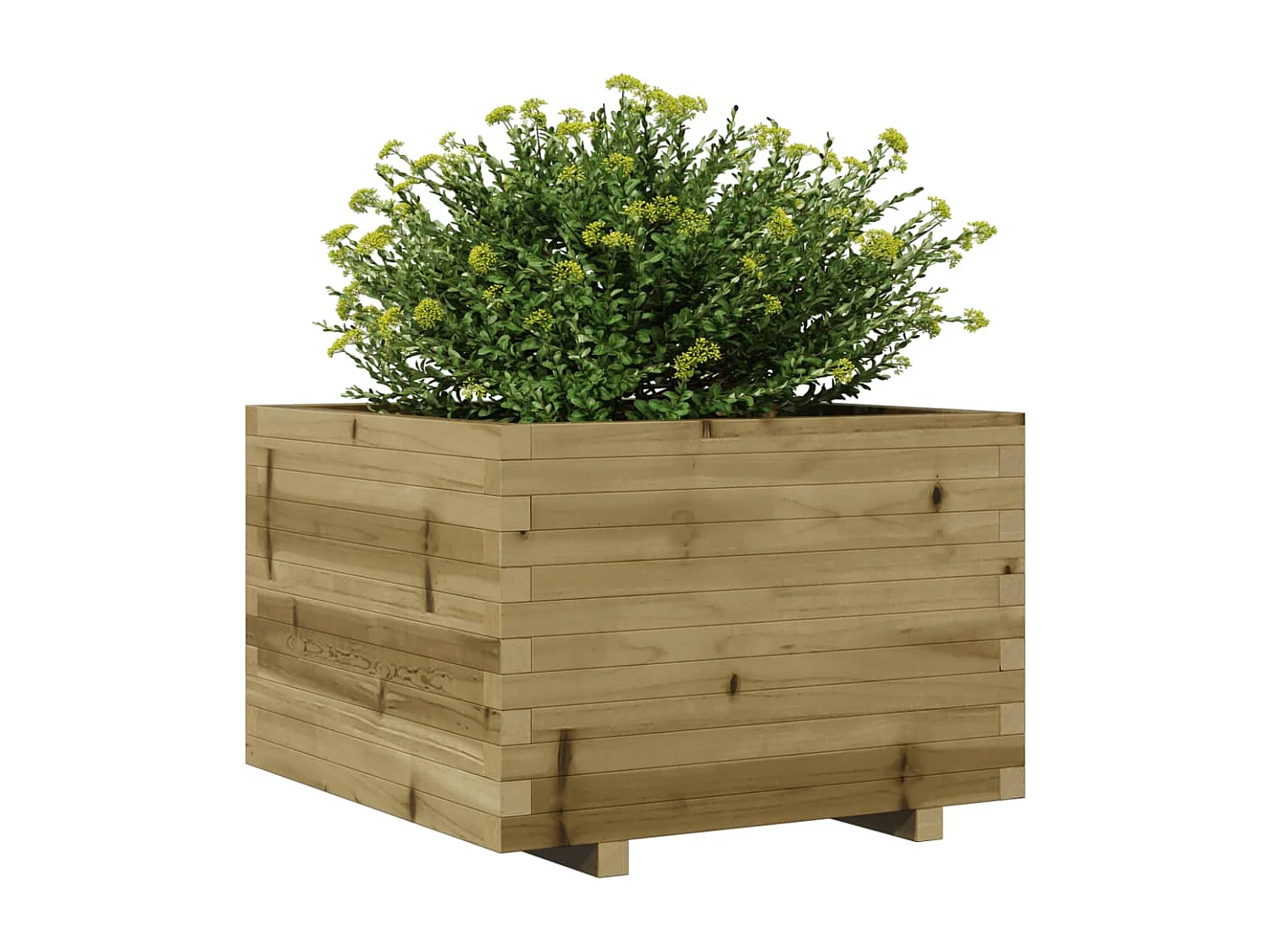 Plantenbak 70x70x49,5 cm geïmpregneerd grenenhout BE253190