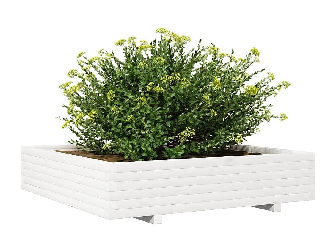 Jardinière blanc 110x110x26,5 cm bois de pin massif FR60850