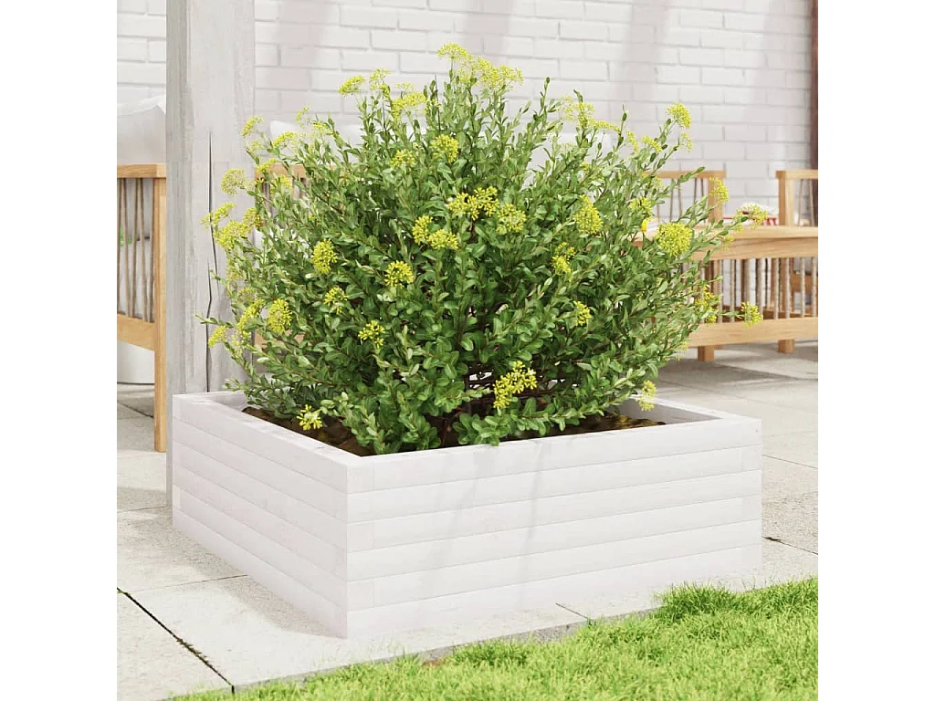 Jardinière blanc 70x70x23 cm bois de pin massif FR94058