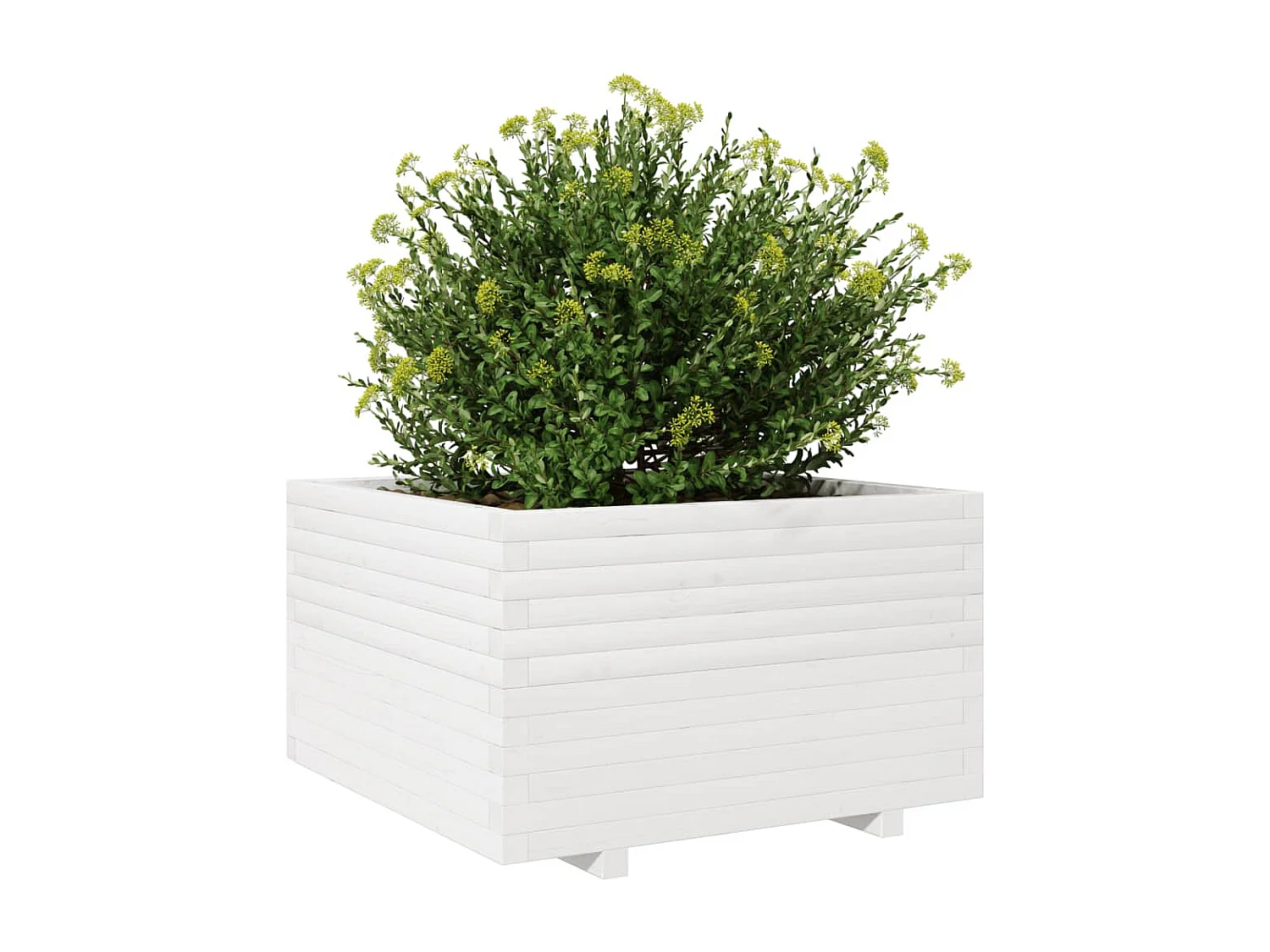 Plantenbak 80x80x49,5 cm massief grenenhout wit BE546870