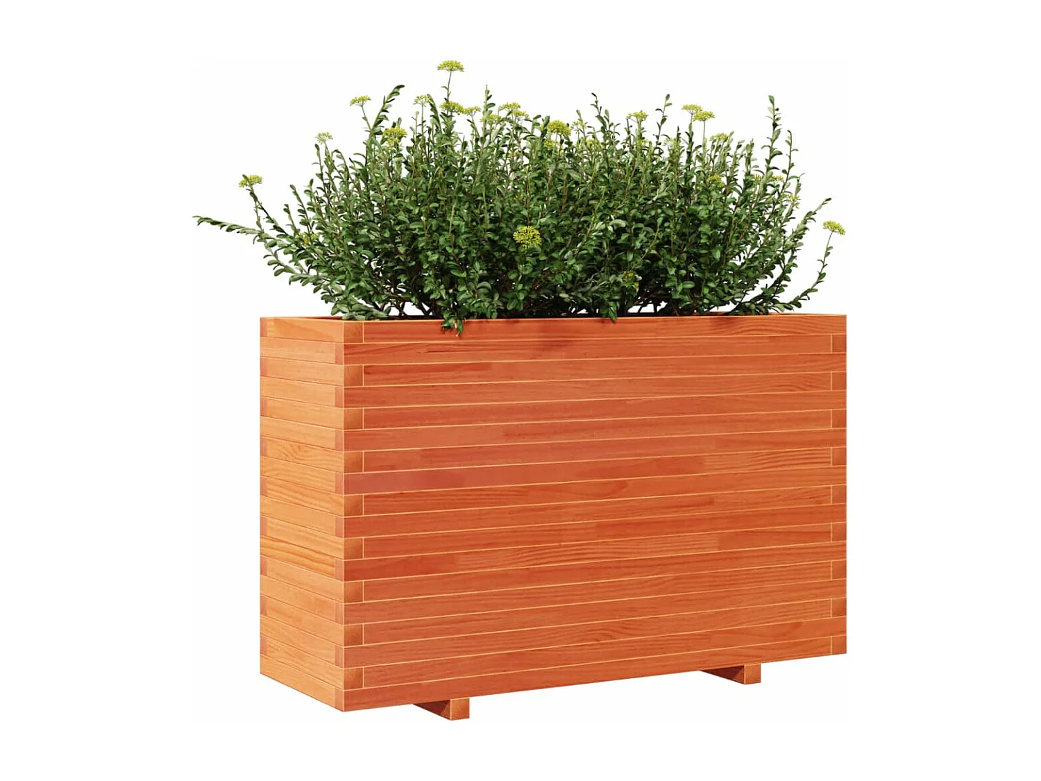 Jardinière cire marron 110x40x72 cm bois de pin massif FR23586
