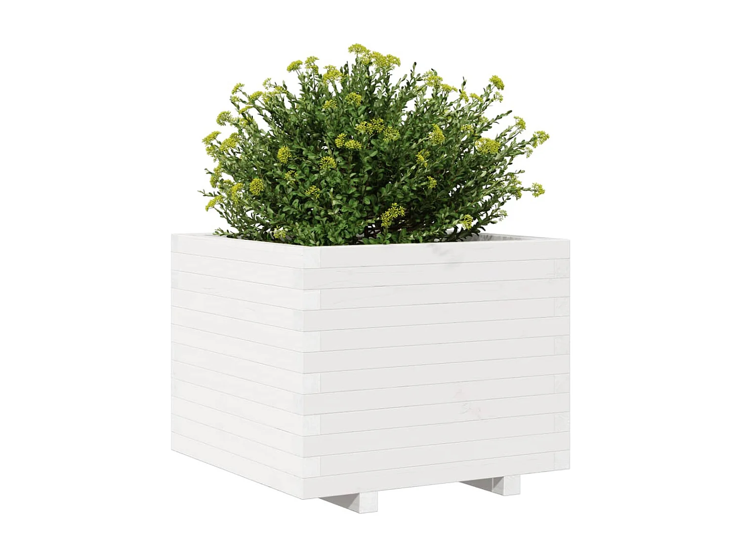 Jardinière blanc 60x60x49,5 cm bois de pin massif FR65520