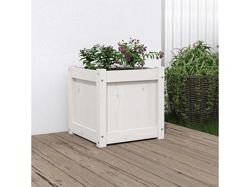Jardinière blanc 40x40x40 cm bois de pin massif FR31643