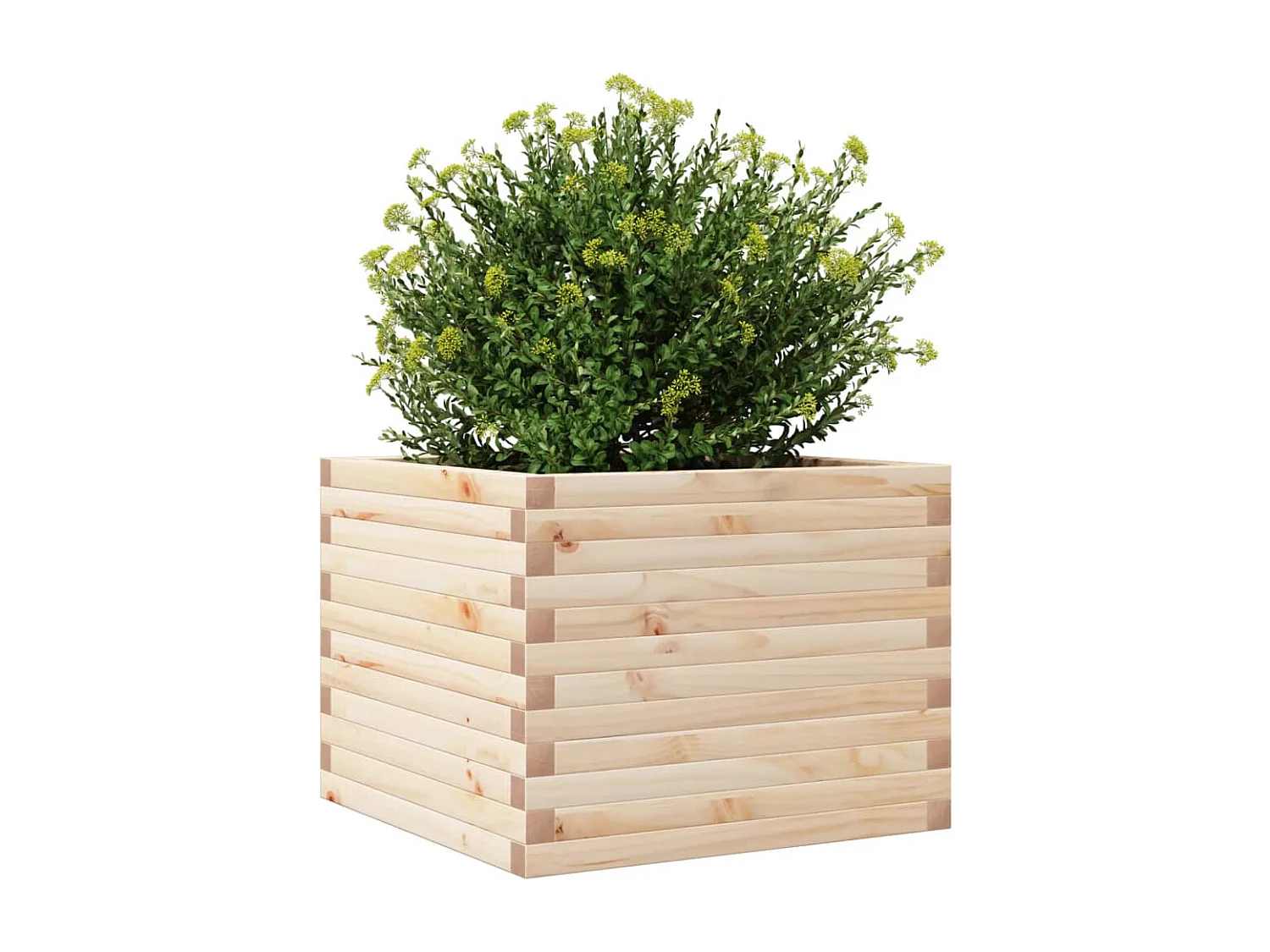 Jardinière 60x60x45,5 cm bois de pin massif FR79159