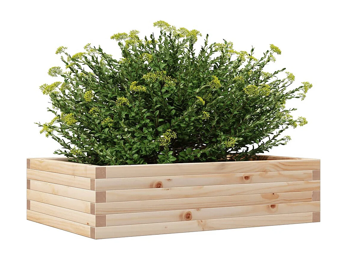 Jardinière 90x60x23 cm bois de pin massif FR95803