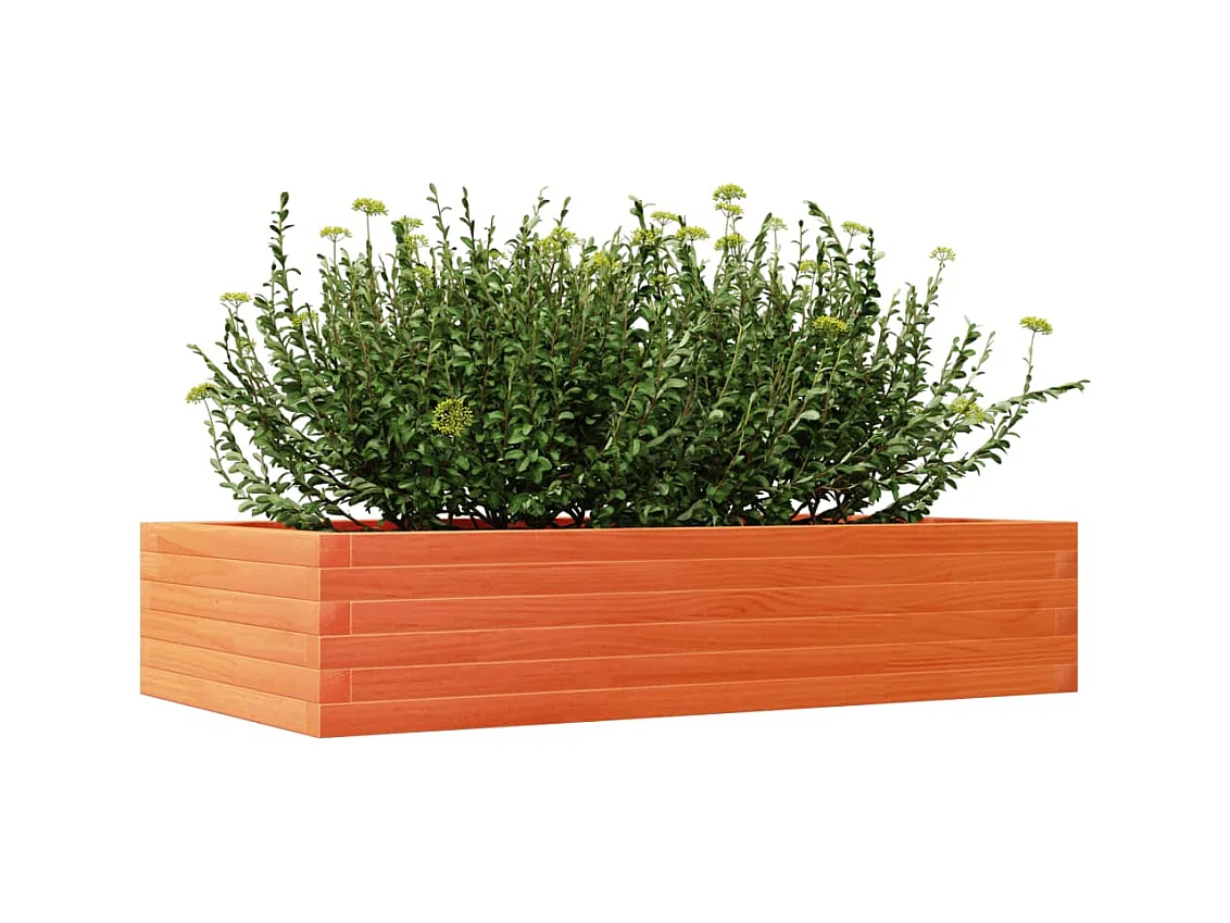 Jardinière cire marron 110x60x23 cm bois de pin massif FR23533