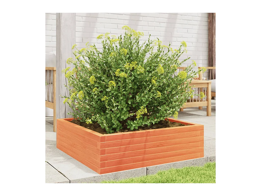 Jardinière cire marron 80x80x23 cm bois de pin massif FR25423