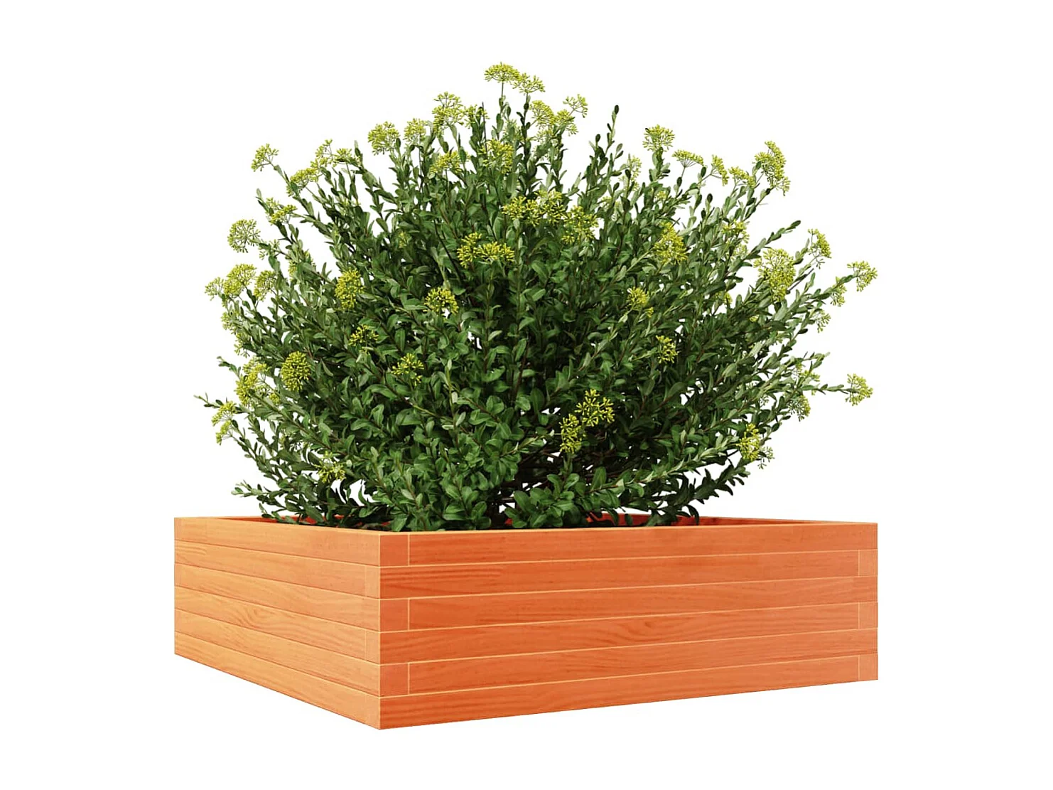 Vaso/floreira de jardim 80x80x23 cm pinho maciço castanho-mel PT228431