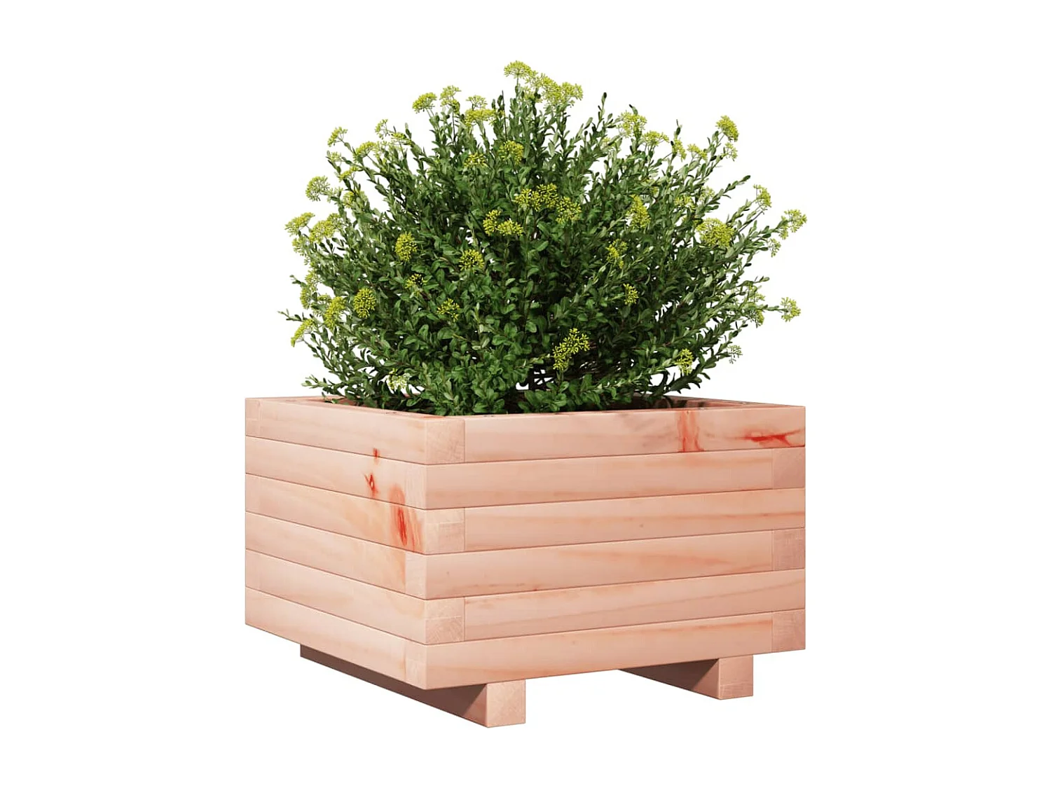 Jardinière 40x40x26,5 cm bois massif douglas FR28417