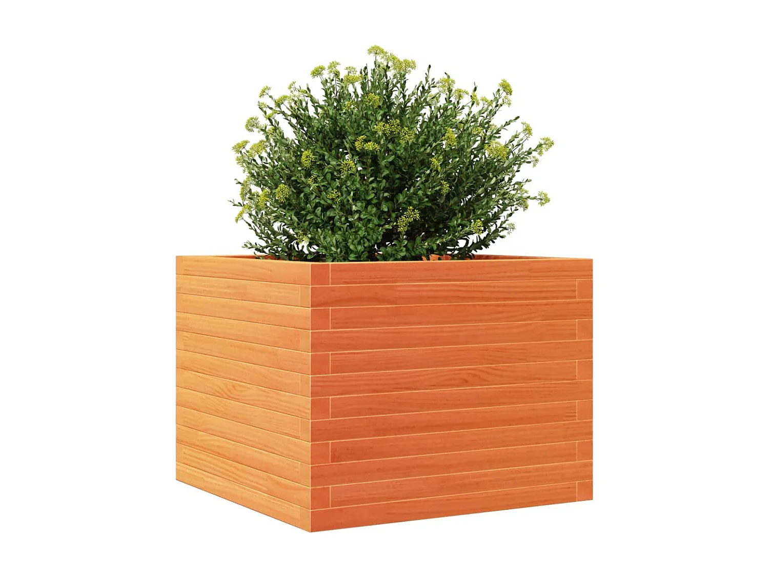 Plantenbak 60x60x46 cm massief grenenhout wasbruin BE588626