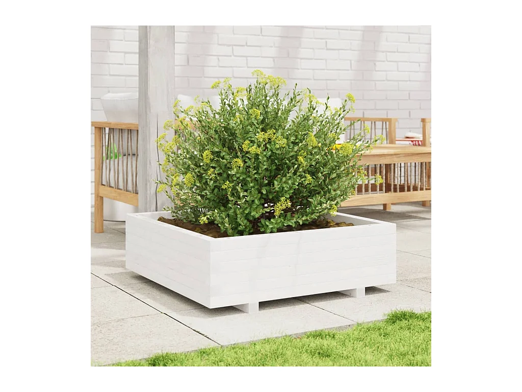 Jardinière blanc 80x80x26,5 cm bois de pin massif FR37984