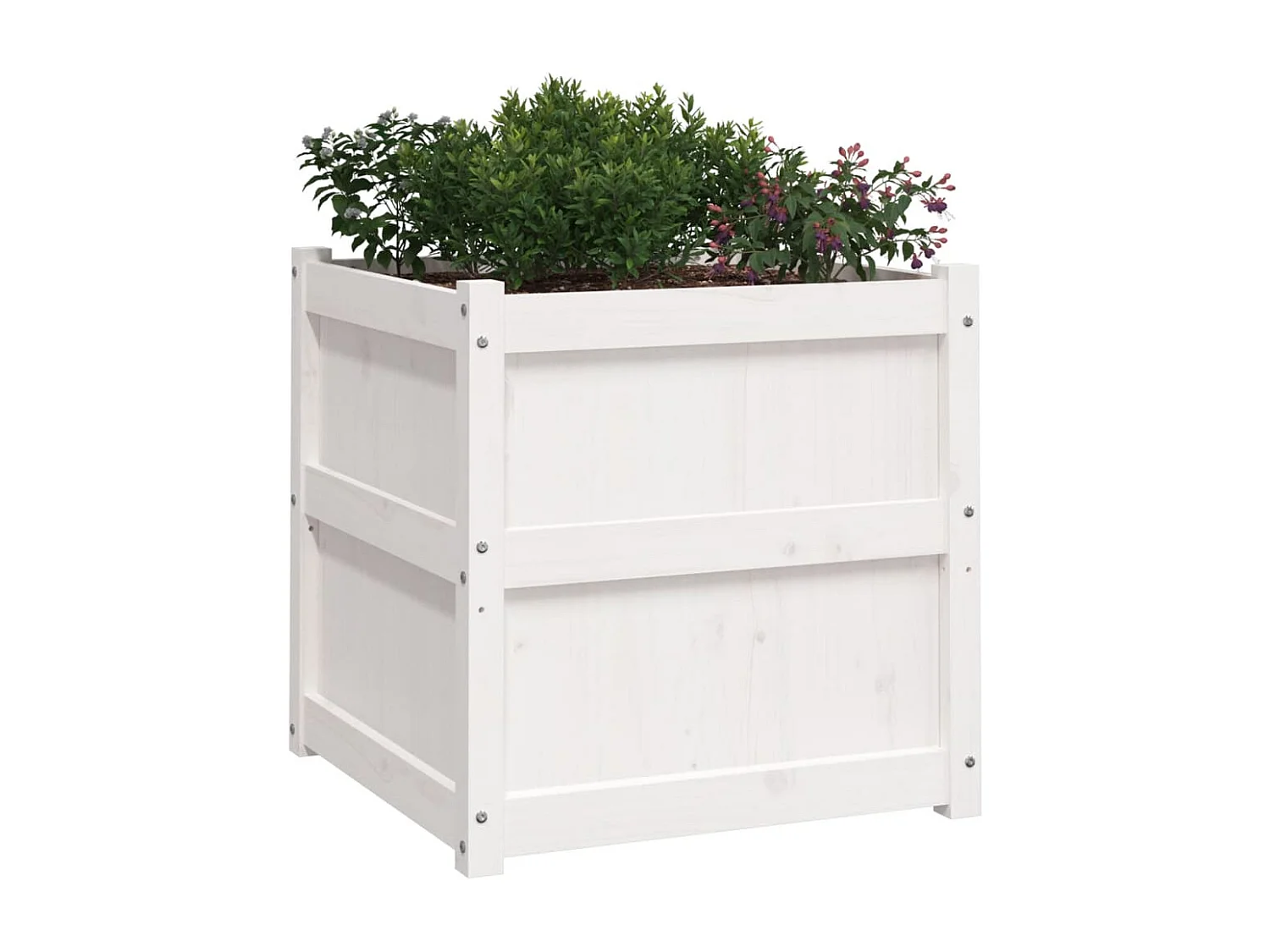 Jardinières 2 pcs blanc bois de pin massif FR17131