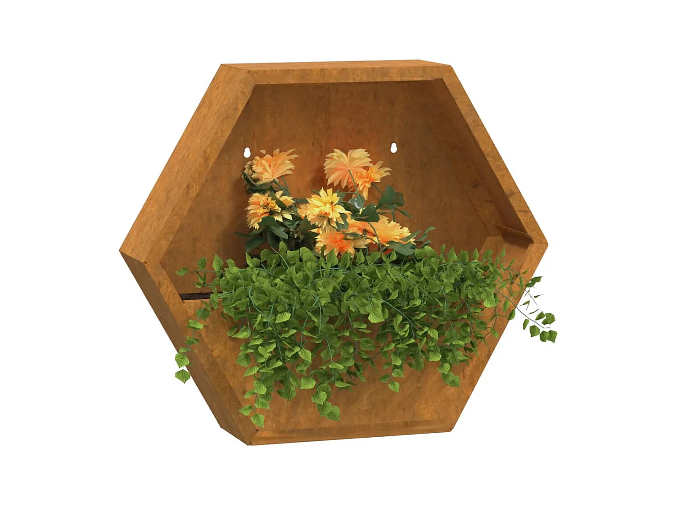 Jardinières murales 2 pcs Rouillé Acier corten 46x10x40 cm FR87300