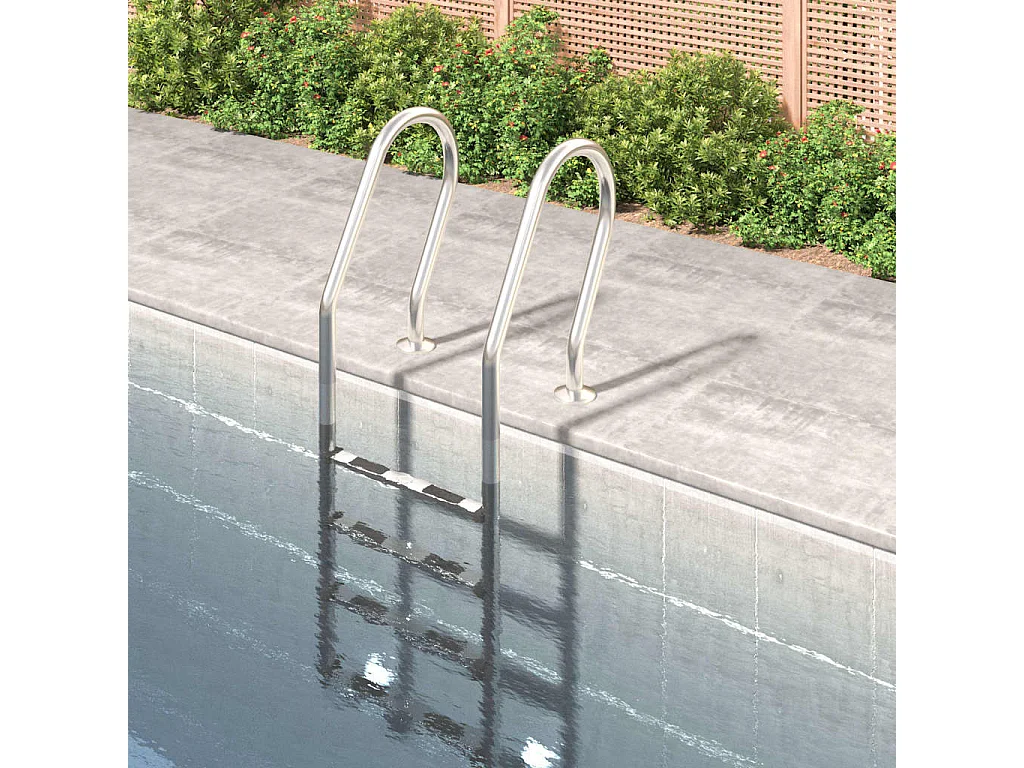 Échelle de piscine 54x38x184,5 cm acier inoxydable 304 FR901895